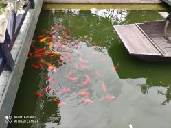 -爱儿美儿童摄影(五路居花园别墅店)