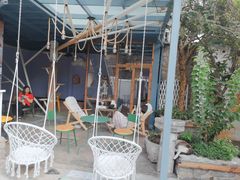 -喵屿·大理花园猫咖