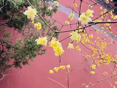 -钱王祠