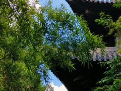 -竹林寺