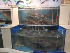 水产区-屯老二农家铁锅炖·行业领军者(梅江店)