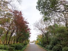 -上海海湾国家森林公园