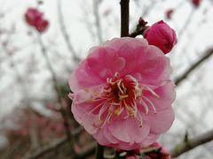 -白塘生态植物园