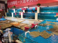 水产区-普天和酒楼·新津菜·烤鸭(天津之眼店)