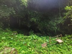 -海口火山口国家地质公园
