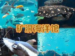 -长鹿旅游休博园