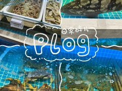 -大众海鲜(巨龙北路店)