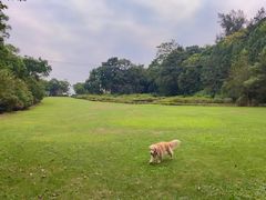 -南宁良凤江国家森林公园