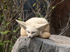 -杭州野生动物世界