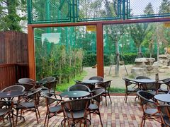 -上海野生动物园老虎餐厅