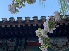 -海棠花溪(元大都城垣遗址公园)