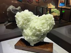 -湖南省地质博物馆