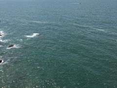 -广东惠东海龟国家级自然保护区