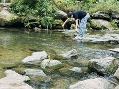 -重庆彩云湖湿地公园