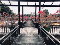 -鹅公村·国家非遗传承(荔湾店)