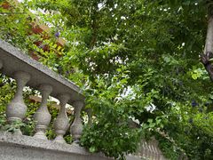 -溪岸路花鸟市场