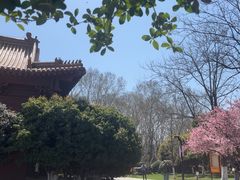 -明故宫遗址公园