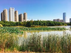 -艾溪湖湿地公园