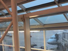 -达拉斯 沃斯堡国际机场