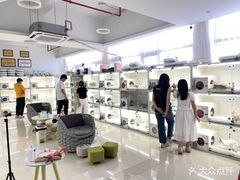 -lincat·猫舍(广州店)