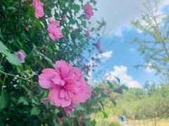 -上海柏阳君亭酒店(复旦大学店)