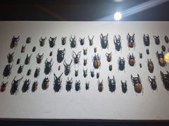 -燕莎友谊商城(亮马桥店)