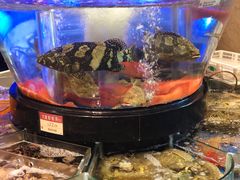 -陶陶居海鲜酒家(新马路店)