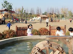 -上海长兴岛郊野公园