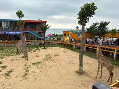 -西霞口神雕山野生动物世界