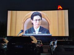 -枫花园汽车电影院(朝阳公园店)