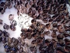 -荣誉国际酒店-海鲜自助餐厅(迎宾大道店)