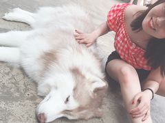 -TrueLove @ Neverland (Husky Cafe)