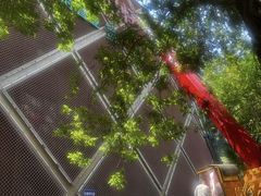 -金鼎轩(鸟巢北辰荟店)