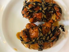 太湖大闸蟹-呼吸森林·生态农庄农家乐私房菜