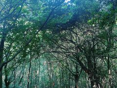 -南北湖风景区