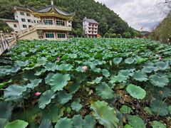 -地心探险极地