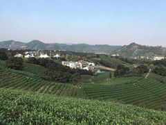 -帐篷客·溪龙茶谷度假酒店