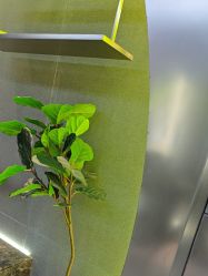 -不迫先生专业男士剪发