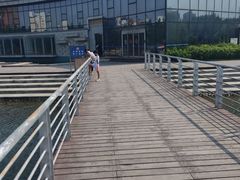 -绿岛公园(滨海新区)
