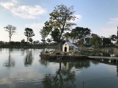 -鹅湖玫瑰文化园