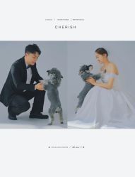 点击看大图 -金夫人婚纱摄影(衡阳店)