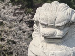 -华东政法大学(松江校区)