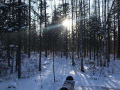 -峡谷浮石林景区