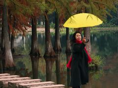 -重庆彩云湖湿地公园
