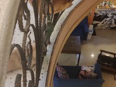 -喜柴咖啡·柴犬狗咖