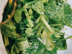 香菜段-生活本该如此北京小馆(周庄嘉园店)