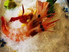 -森味薪火烧•烧鸟居酒屋•日本料理(望京店)