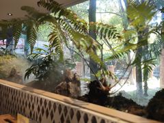 -虹泥小厨(南国花园总店)