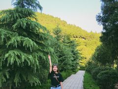 -四门塔风景区
