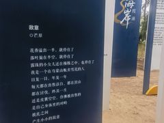 -大京沙滩